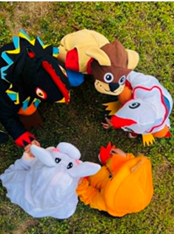 karnaval-