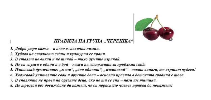 pravila grupa shereshka 2025